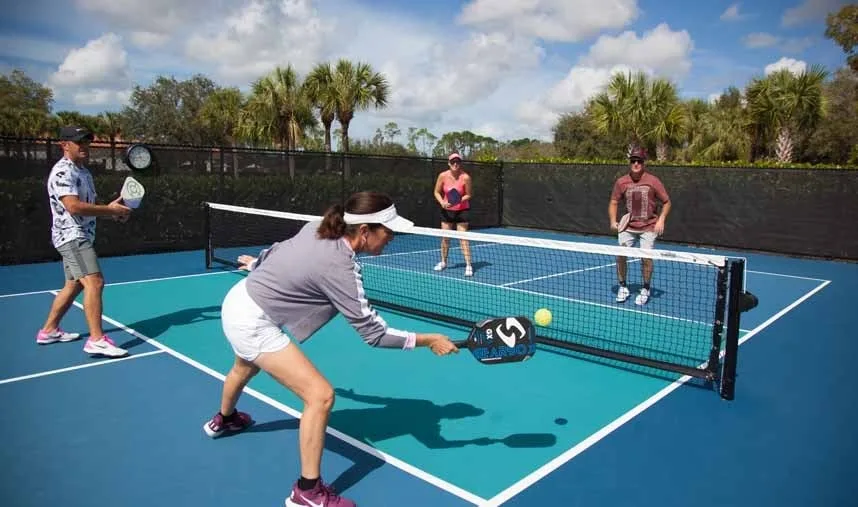 Sân pickleball và khu vực thi đấu cơ bản Sân pickleball và khu vực thi đấu cơ bản