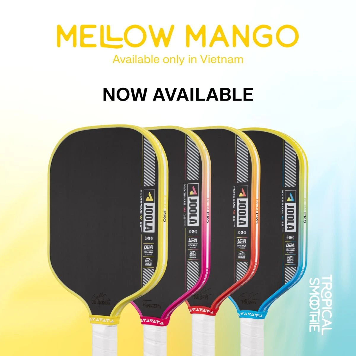 Joola Pro IV Vietnam Colorway Limited Edition