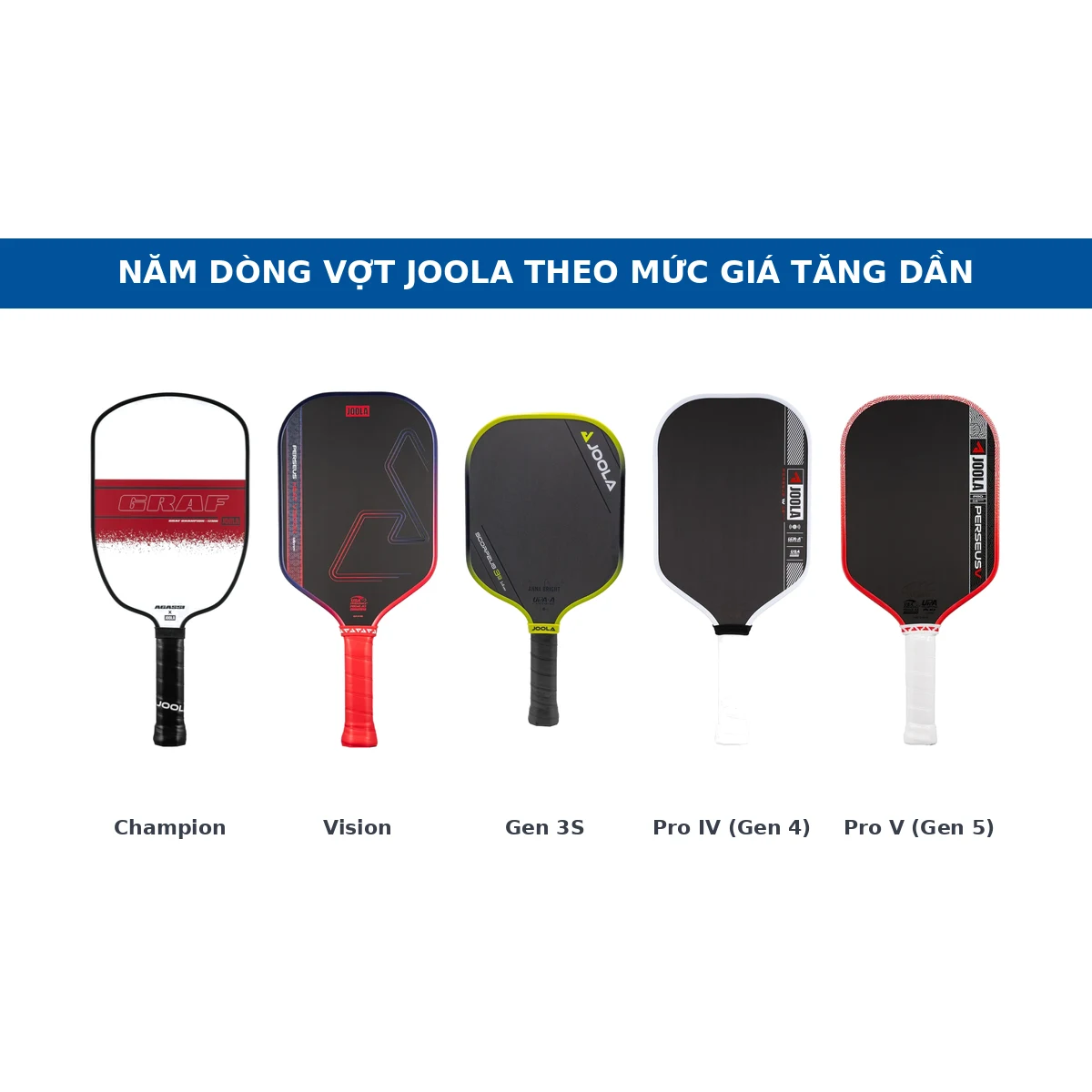 Năm dòng vợt JOOLA xếp theo giá tăng dần: Champion, Vision, Gen 3S, Pro IV và Pro V