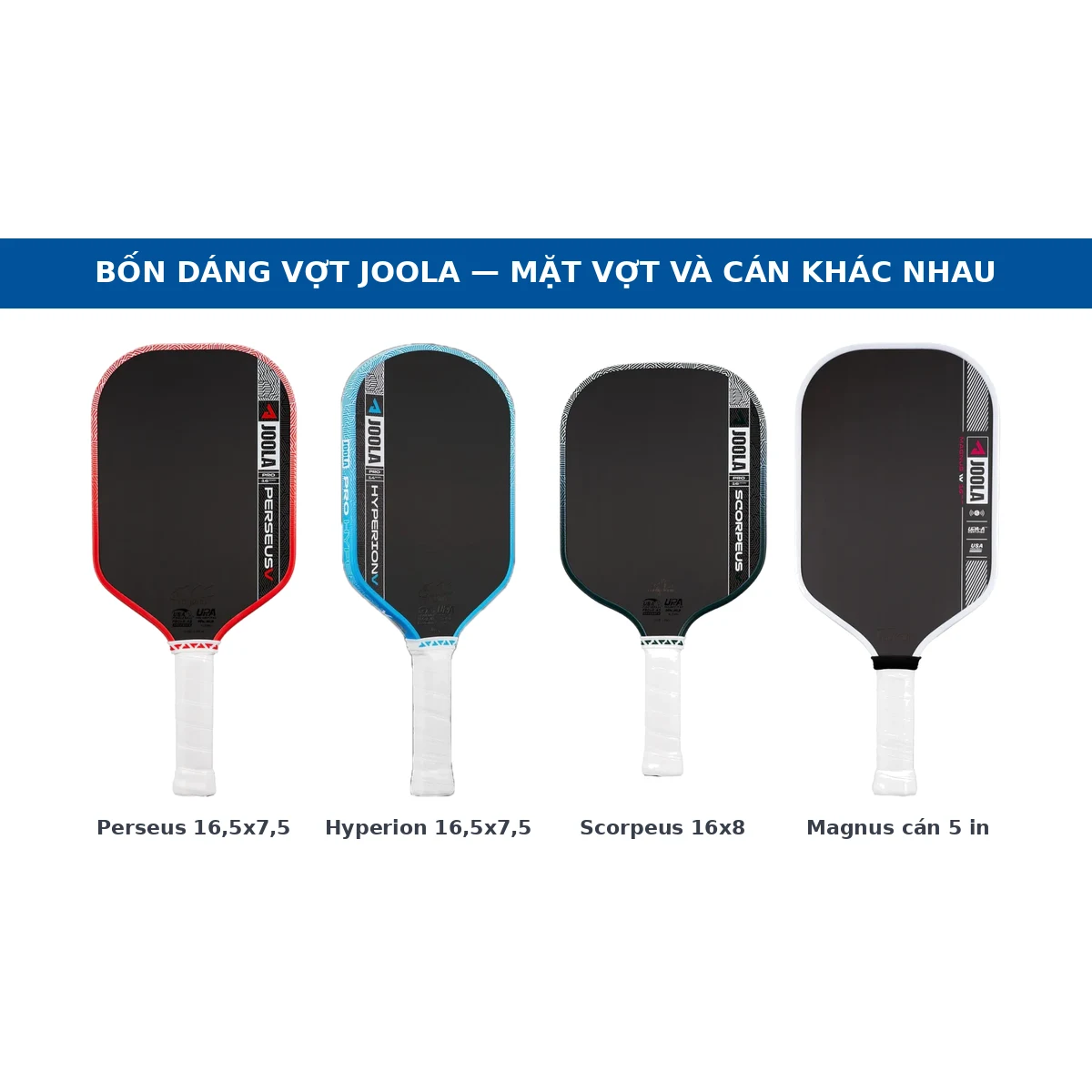 Bốn dáng vợt JOOLA đặt cạnh nhau: Perseus thon dài, Hyperion khí động, Scorpeus bản rộng và Magnus cán ngắn