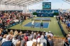 UPA-A Certified chứng chỉ vợt pickleball chuyên nghiệp toàn cầu