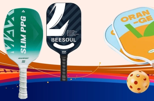 Những điều bạn có thể biết về vợt PicklebalL Beesoul